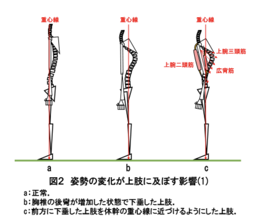 五十肩のタイプ別のツボをご紹介します Hiroshiblog